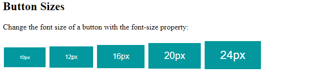 button sizes