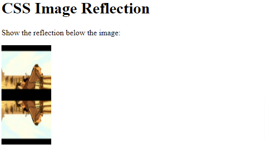 image reflection